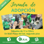 Jornadas de Adopción en Mall Plaza del Sol